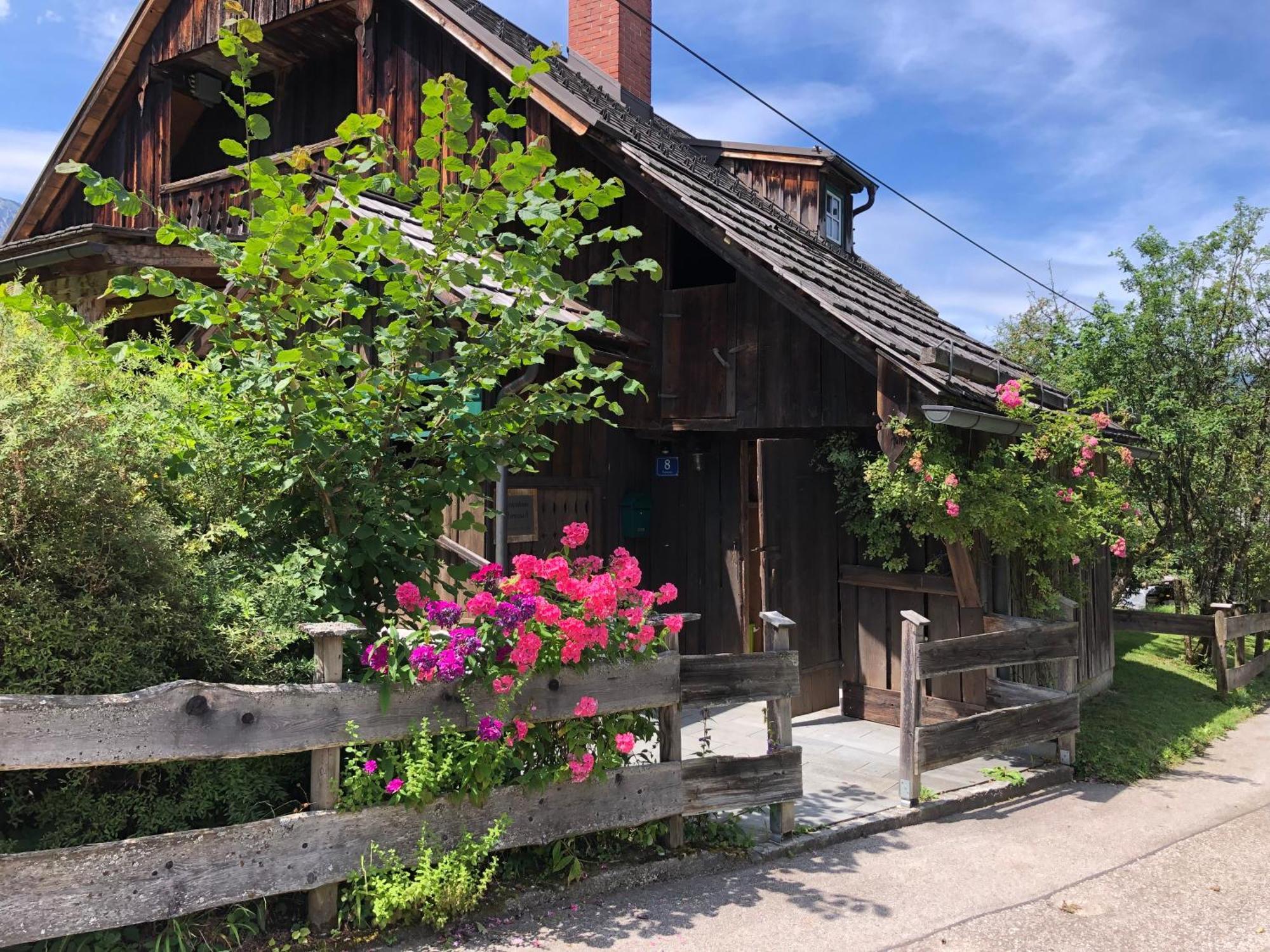 Chalet Ramsau 8 Bad Goisern Dış mekan fotoğraf