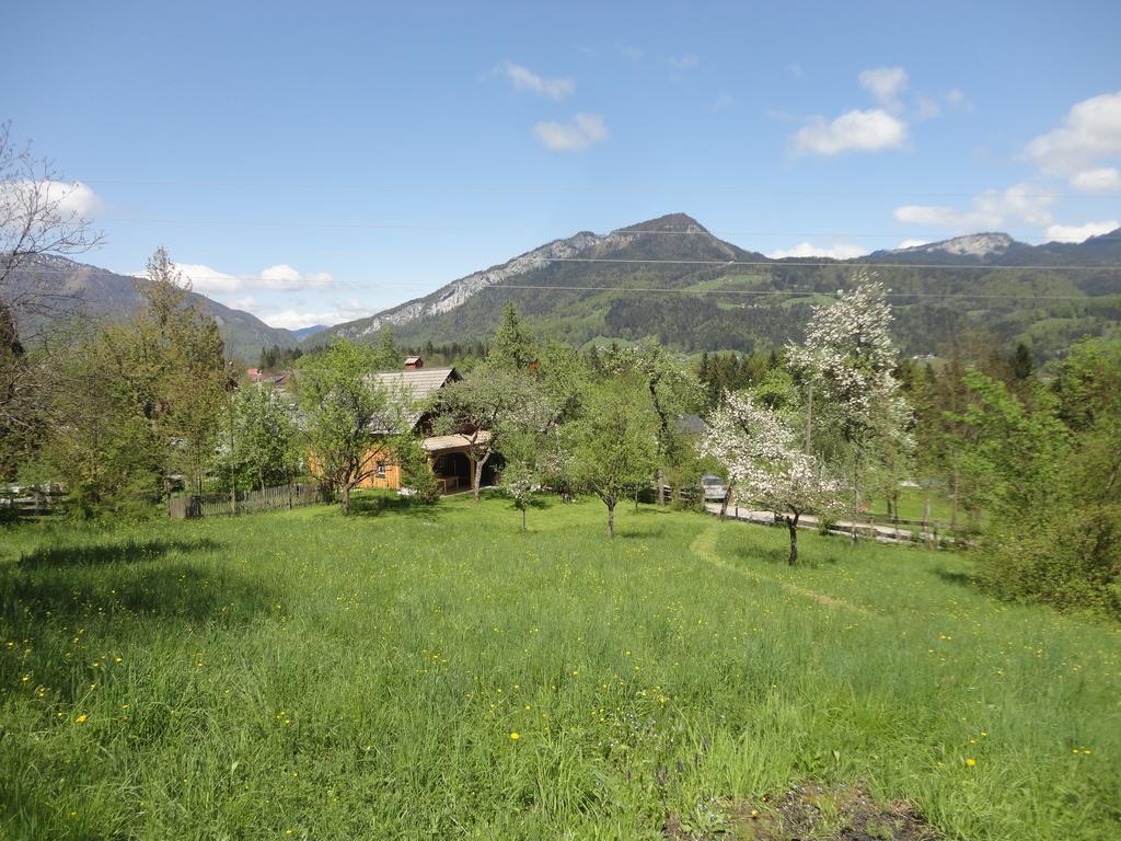 Chalet Ramsau 8 Bad Goisern Dış mekan fotoğraf