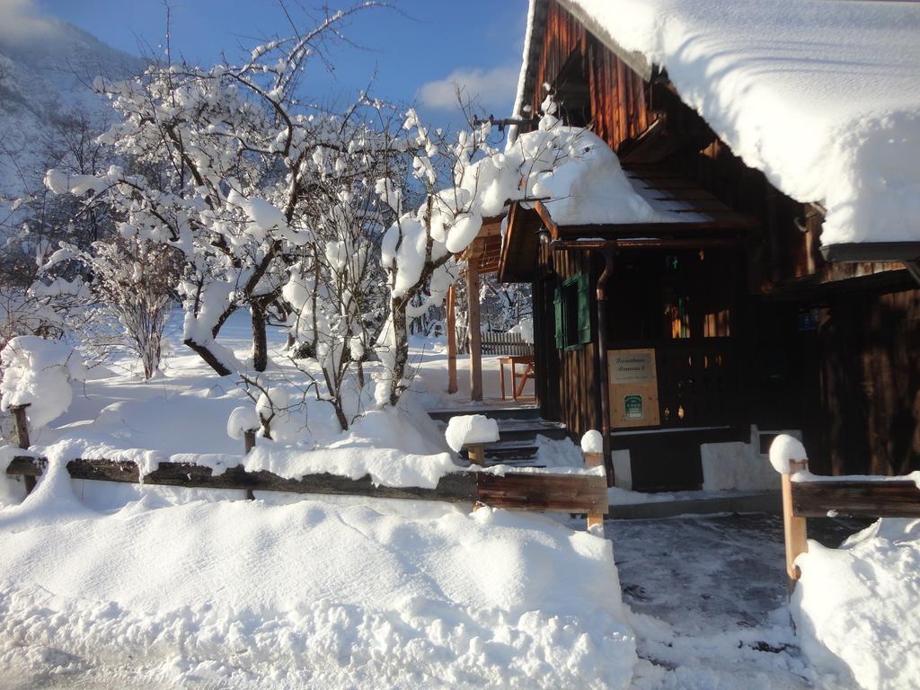 Chalet Ramsau 8 Bad Goisern Dış mekan fotoğraf