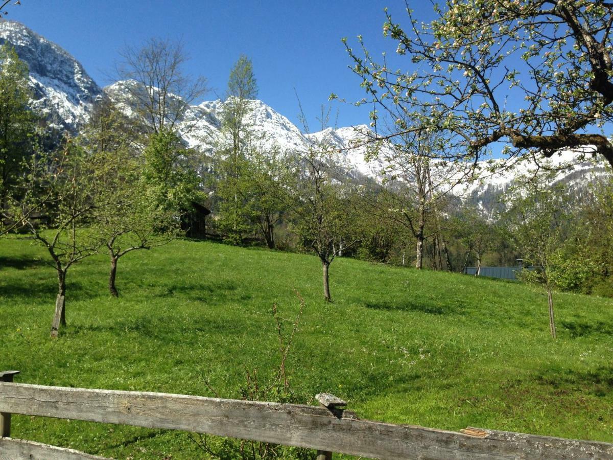 Chalet Ramsau 8 Bad Goisern Dış mekan fotoğraf
